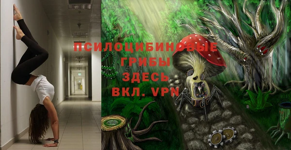 гидропоника Абдулино