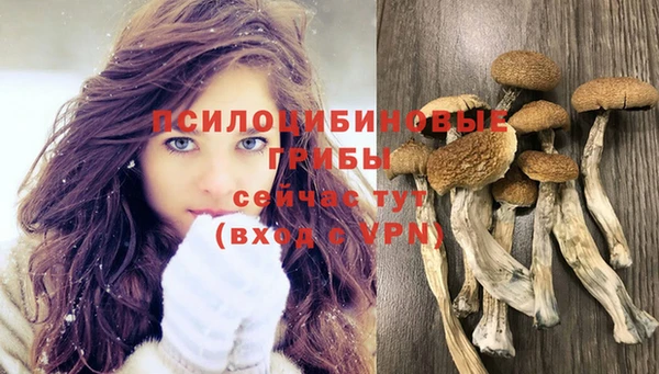 спиды Абинск