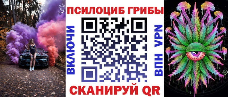Псилоцибиновые грибы Cubensis  Новая Усмань 